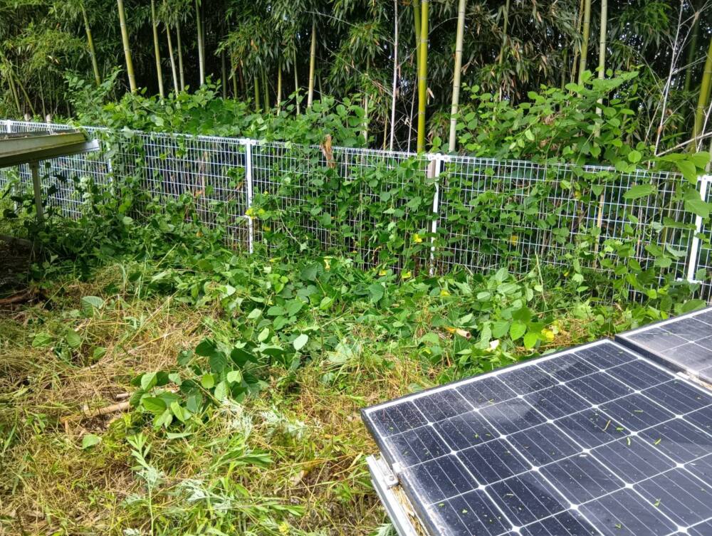 実績・評判口コミ画像01-京都府　630kW　高圧