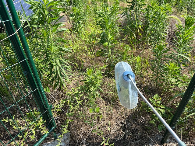 実績・評判口コミ画像03-三重県　49.7kW　低圧