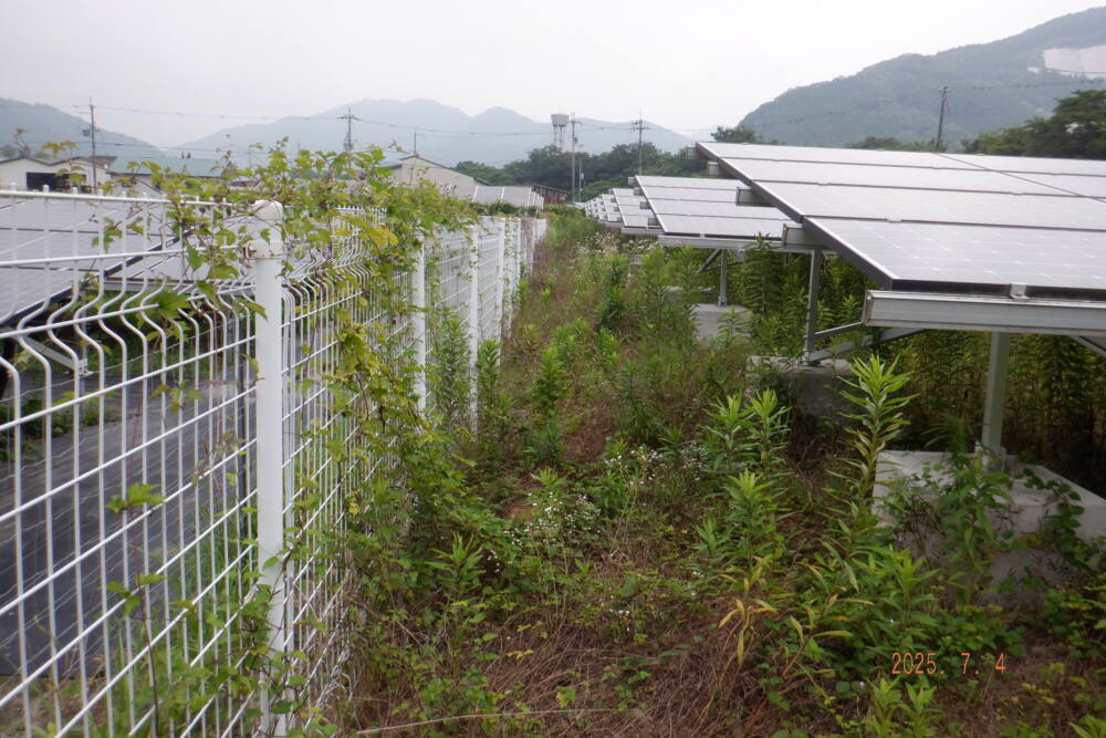 実績・評判口コミ画像03-兵庫県　49.5kW　低圧