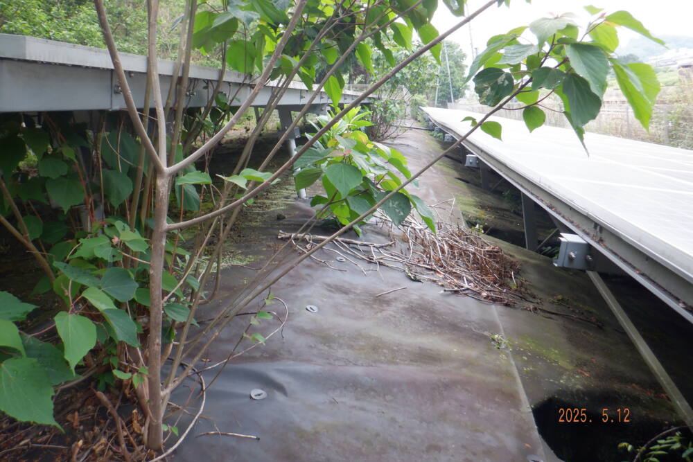 実績・評判口コミ画像01-兵庫県　49.5kW　低圧