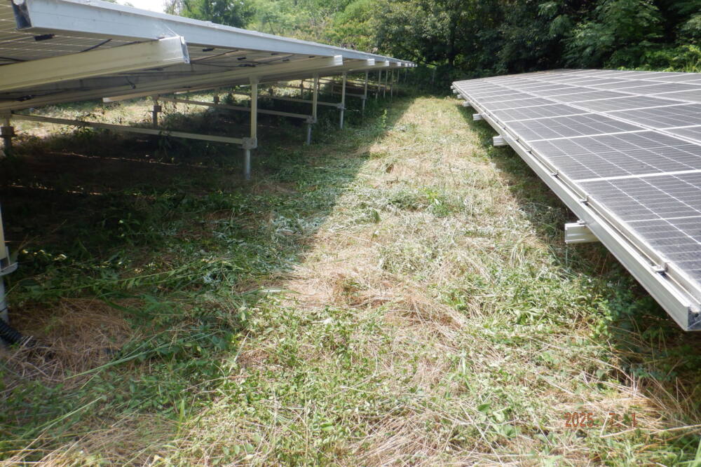 実績・評判口コミ画像03-香川県　49.5kW　低圧