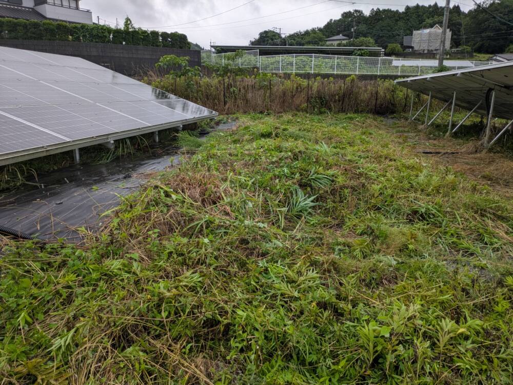 実績・評判口コミ画像02-佐賀県　49.5kW　低圧