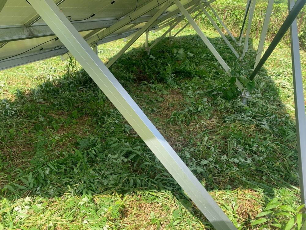 実績・評判口コミ画像02-鹿児島県　49.5kW　低圧