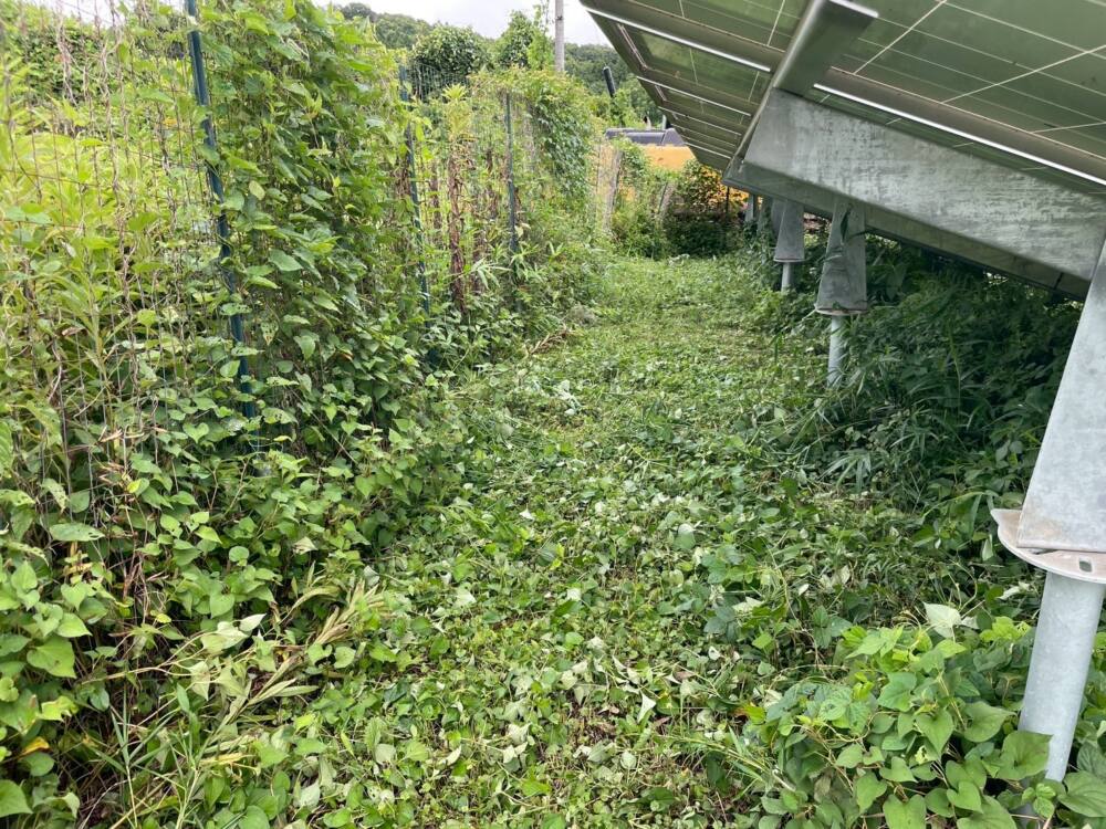 実績・評判口コミ画像03-栃木県　49.5kW　低圧