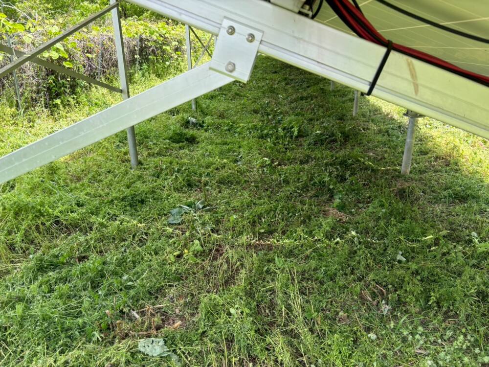 実績・評判口コミ画像02-熊本県　49.5kW　低圧