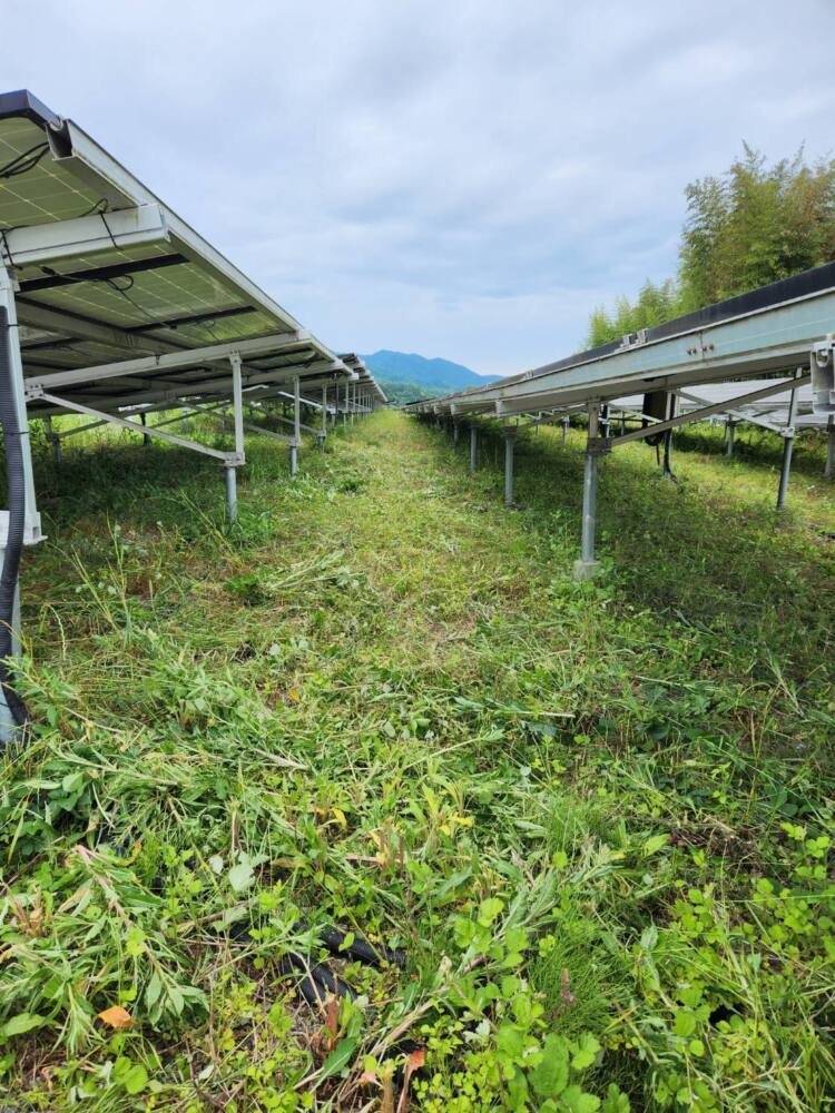 実績・評判口コミ画像03-京都府　630kW　高圧