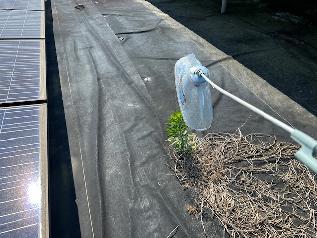 実績・評判口コミ画像02-三重県　49.7kW　低圧