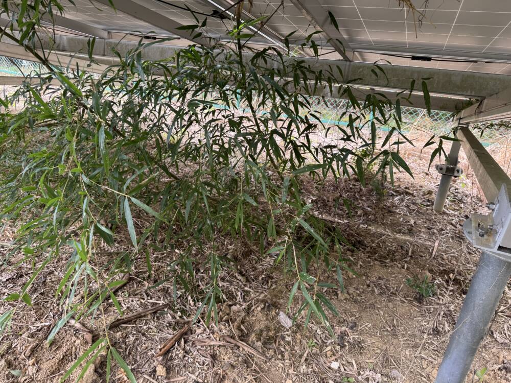 実績・評判口コミ画像03-京都府　49.5kW　低圧