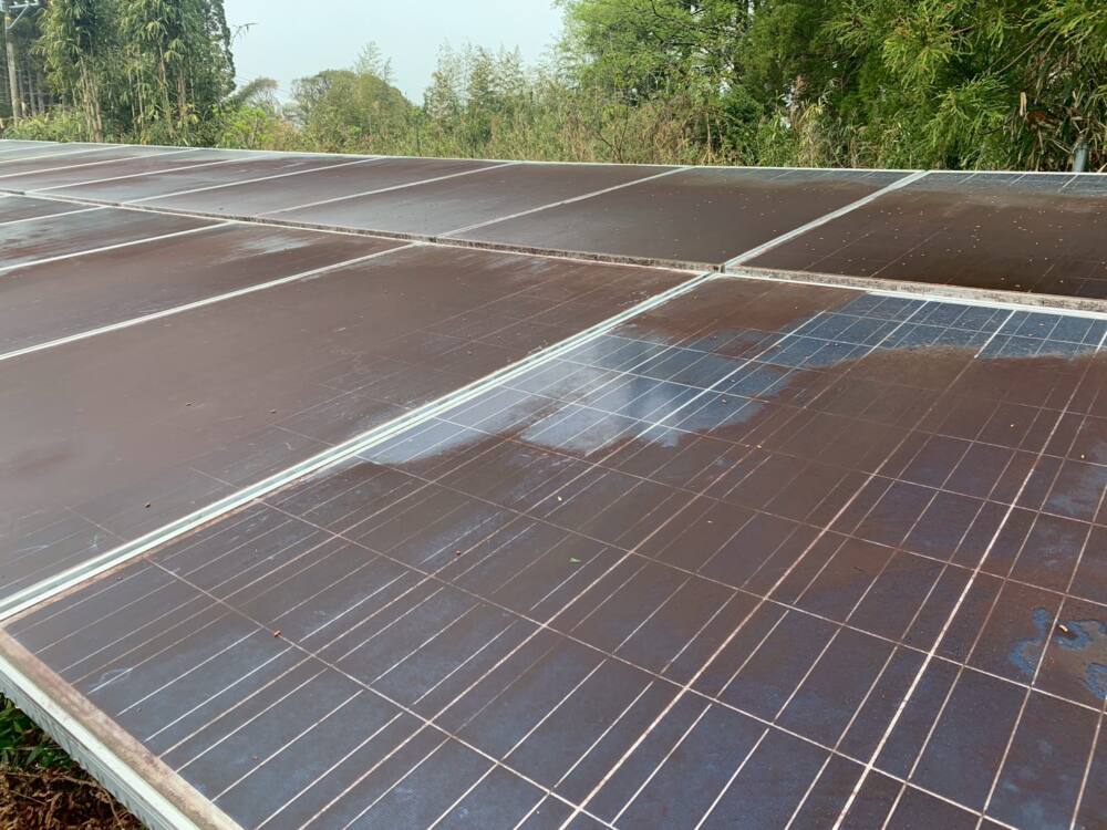 実績・評判口コミ画像01-宮崎県　除草・パネル清掃　49.5kW　低圧