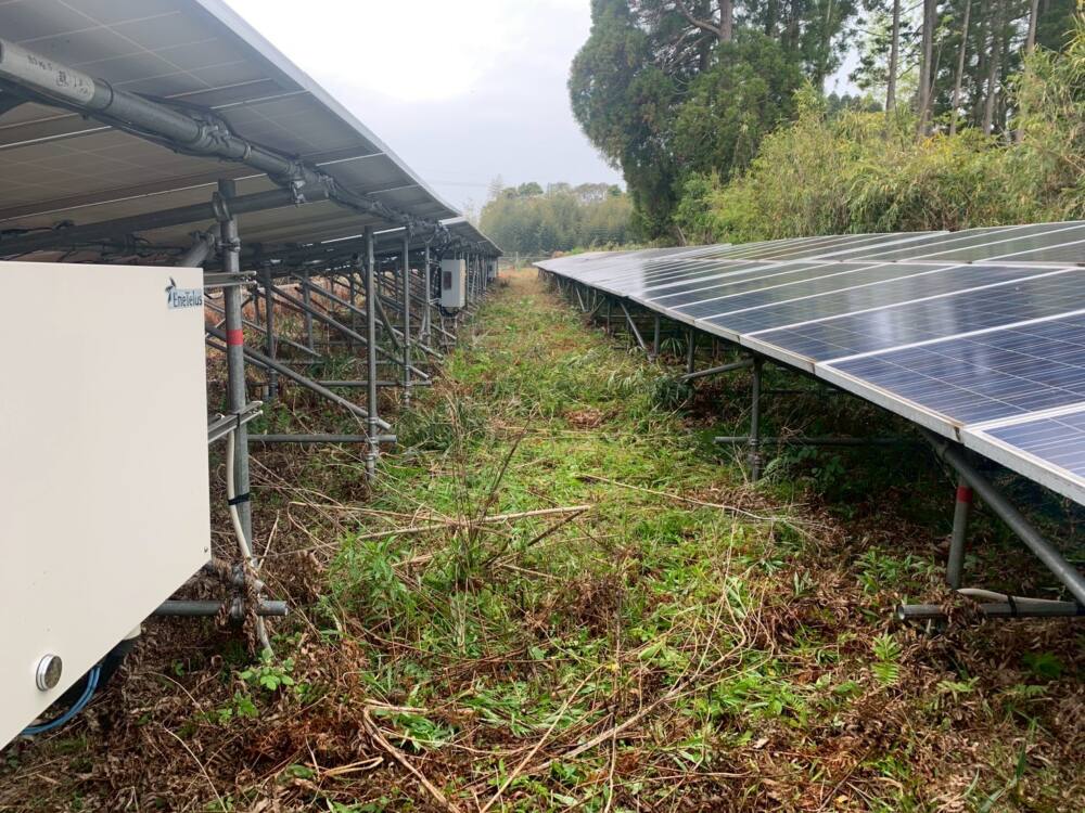 実績・評判口コミ画像02-宮崎県　除草・パネル清掃　49.5kW　低圧