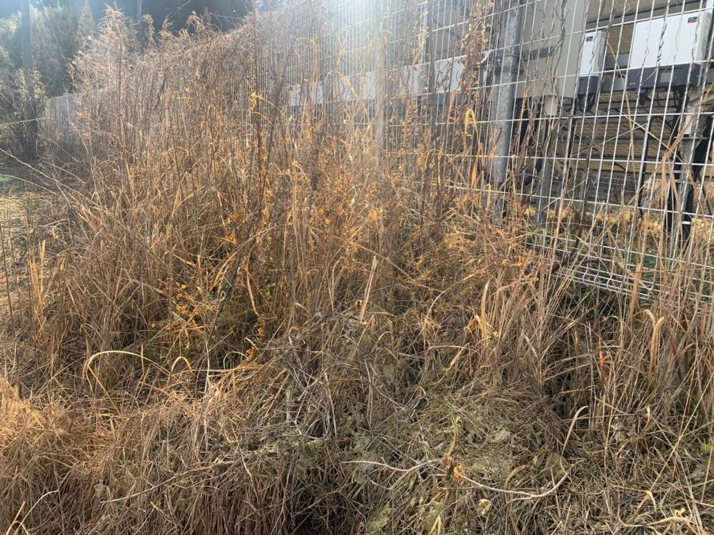 実績・評判口コミ画像03-宮崎県　除草　49.5kW　低圧