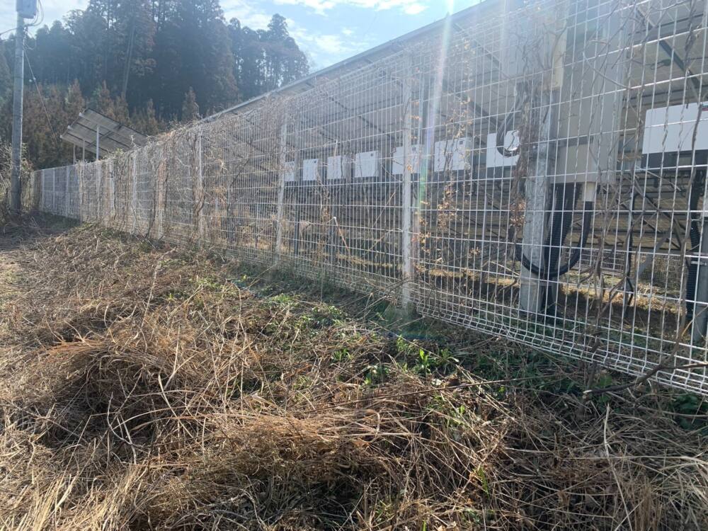 実績・評判口コミ画像02-宮崎県　除草　49.5kW　低圧