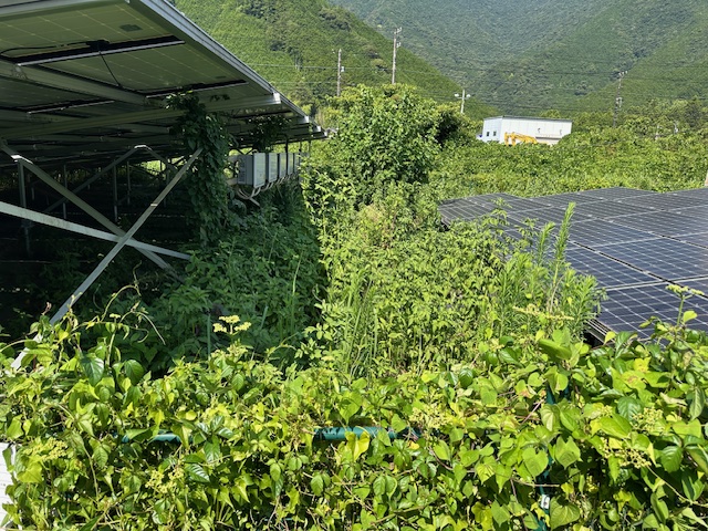 三重県　49.5kW　低圧