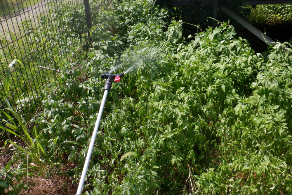 奈良県　49.5kW　低圧