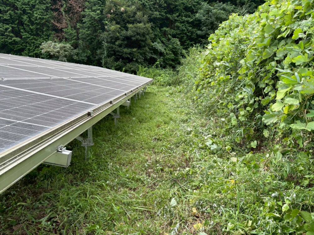 千葉県　49.5kW　低圧