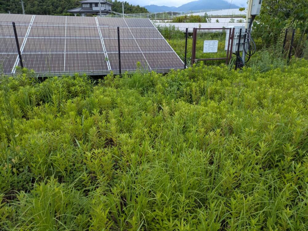 佐賀県　49.5kW　低圧