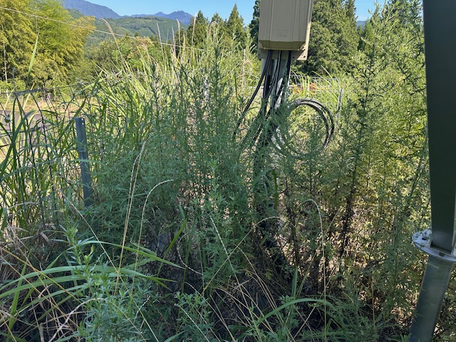 三重県　49.5kW　低圧