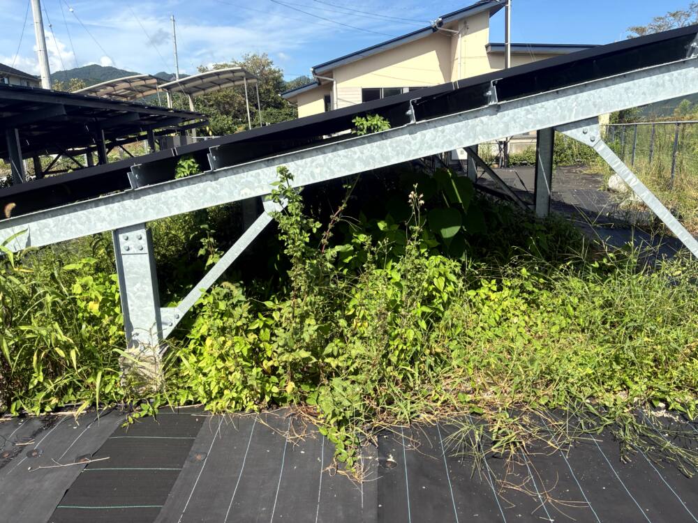 高知県　49.5kW　低圧