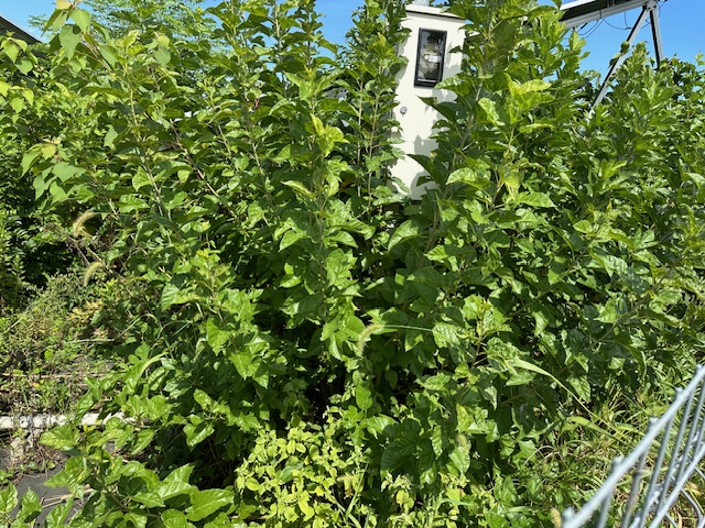 三重県　47.2kW　低圧