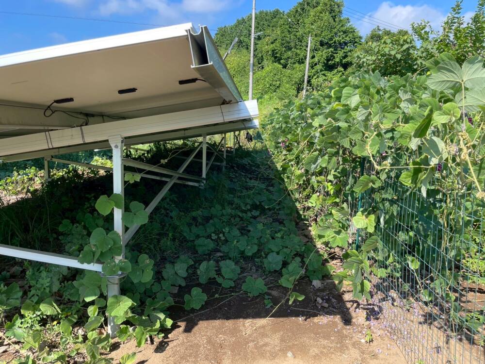 茨城県　49.5kW　低圧