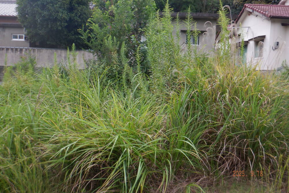 香川県　49.5kW　低圧