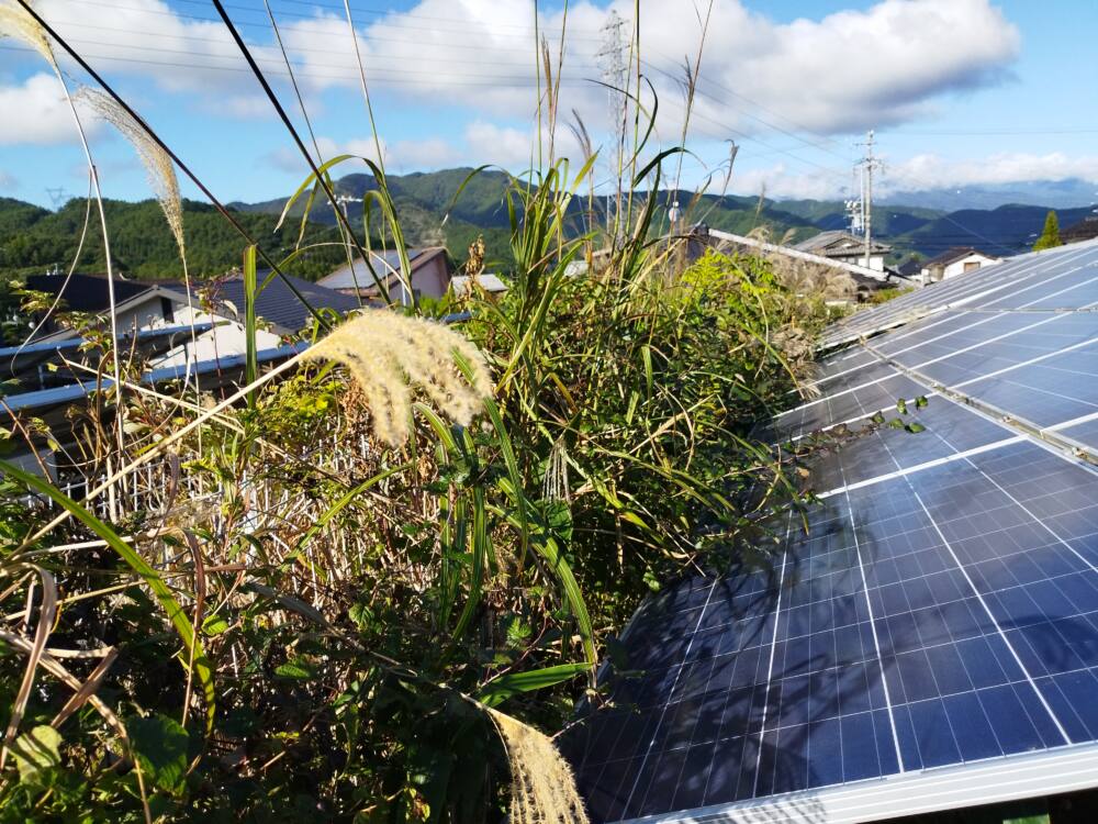 長野県　49.5kW　低圧