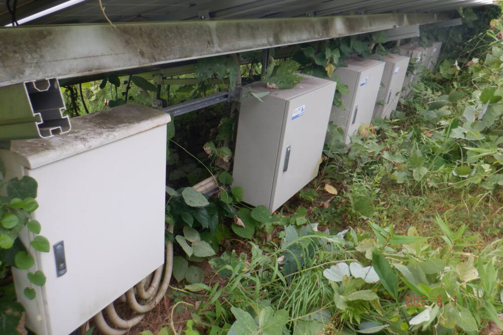 京都府　49.1kW　低圧