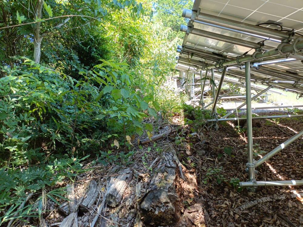 岡山県　49.5kW　低圧