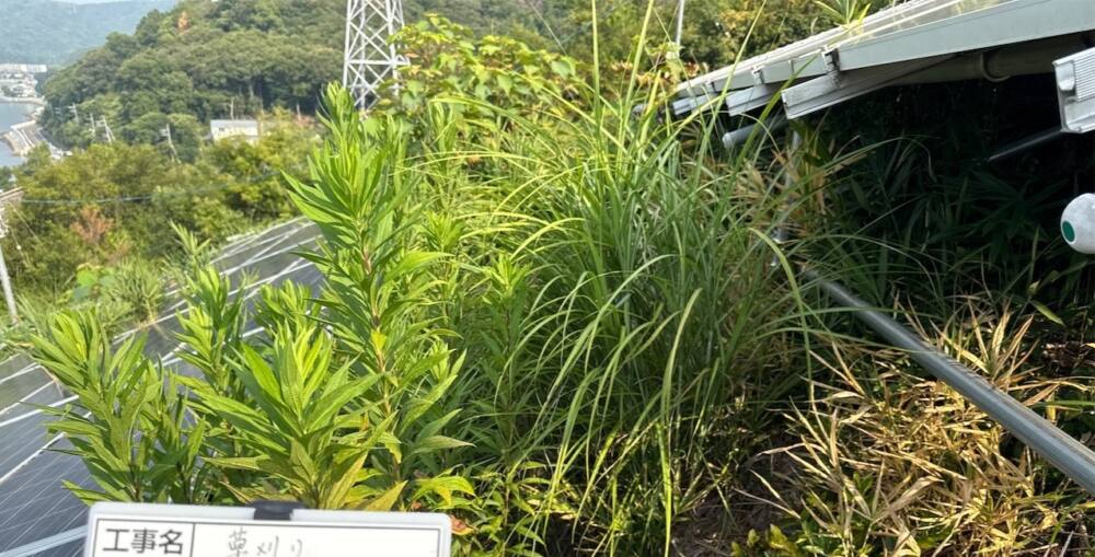 岡山県　49.5kW　低圧