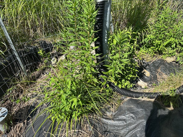 実績・評判口コミ画像01-三重県　49.5kW　低圧