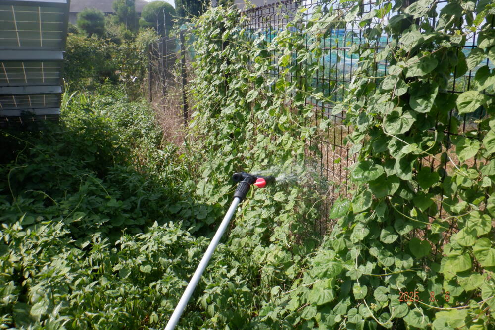 実績・評判口コミ画像01-奈良県　49.5kW　低圧