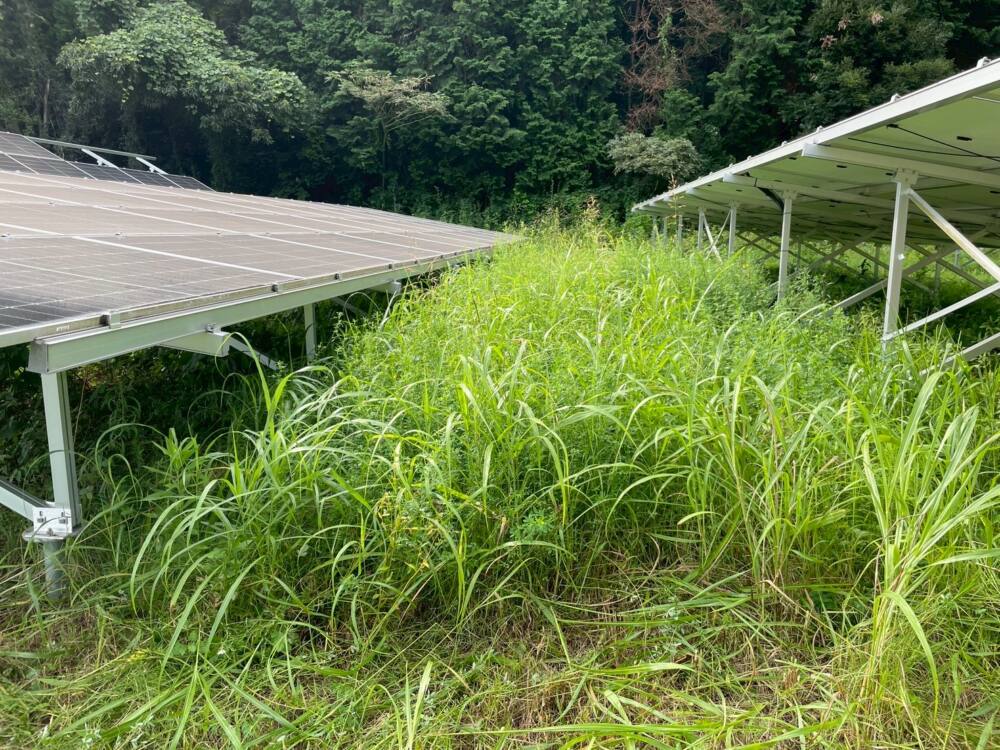 実績・評判口コミ画像01-千葉県　49.5kW　低圧