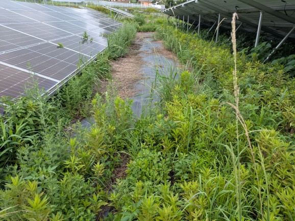 実績・評判口コミ画像01-佐賀県　49.5kW　低圧