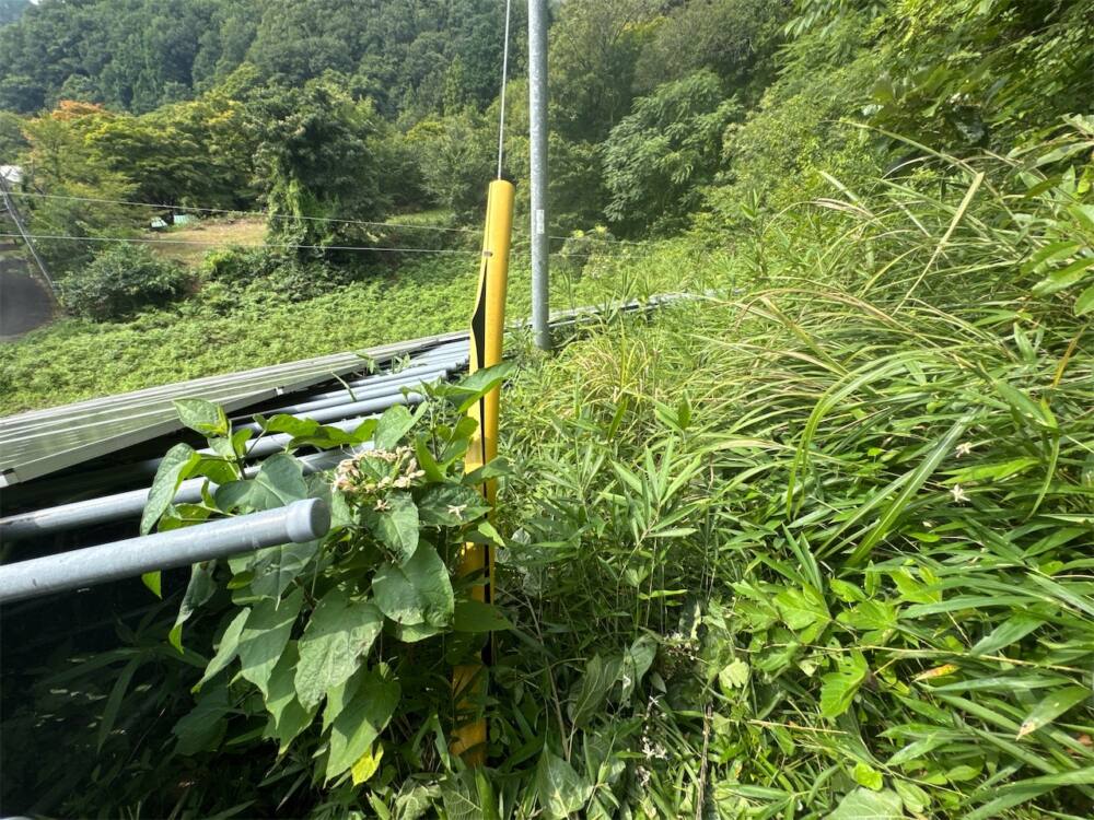 実績・評判口コミ画像01-兵庫県　49.5kW　低圧