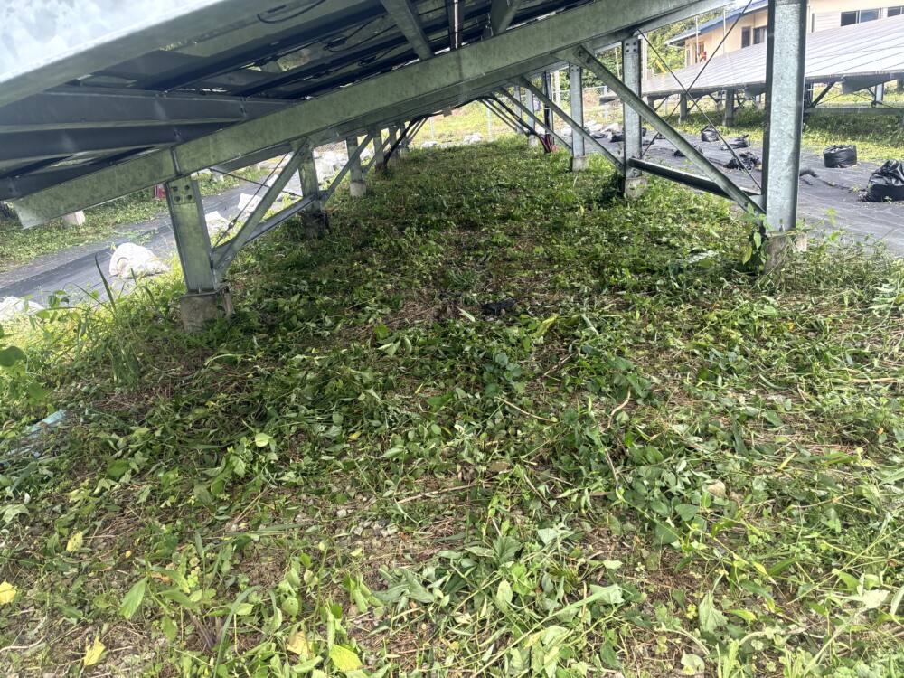 実績・評判口コミ画像01-高知県　49.5kW　低圧