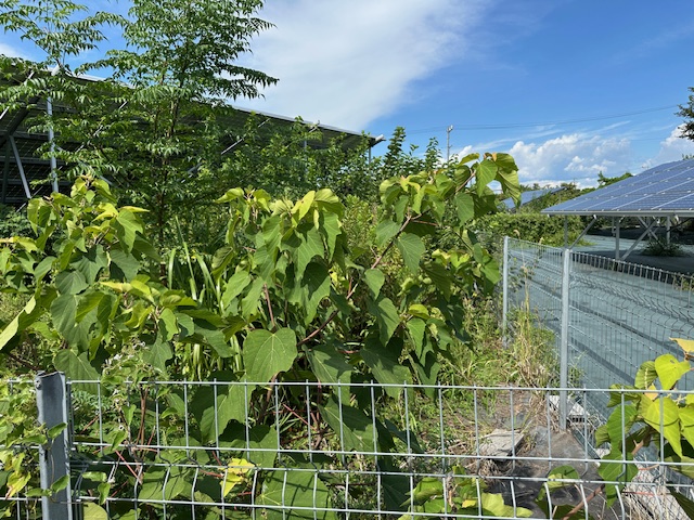 実績・評判口コミ画像01-三重県　47.2kW　低圧