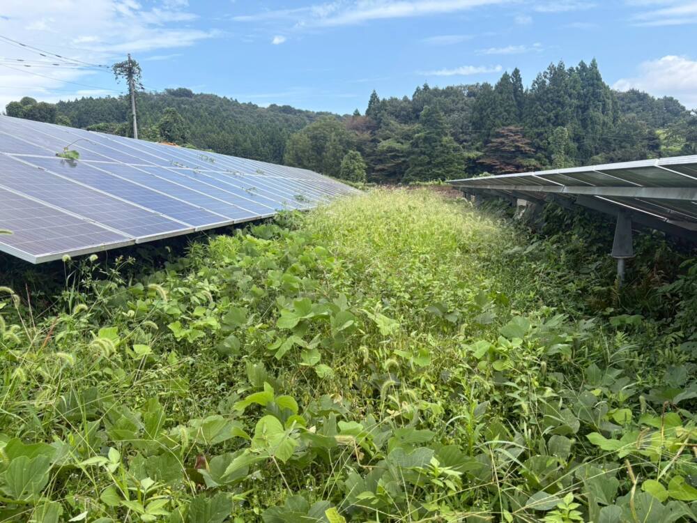 実績・評判口コミ画像01-栃木県　49.5kW　低圧