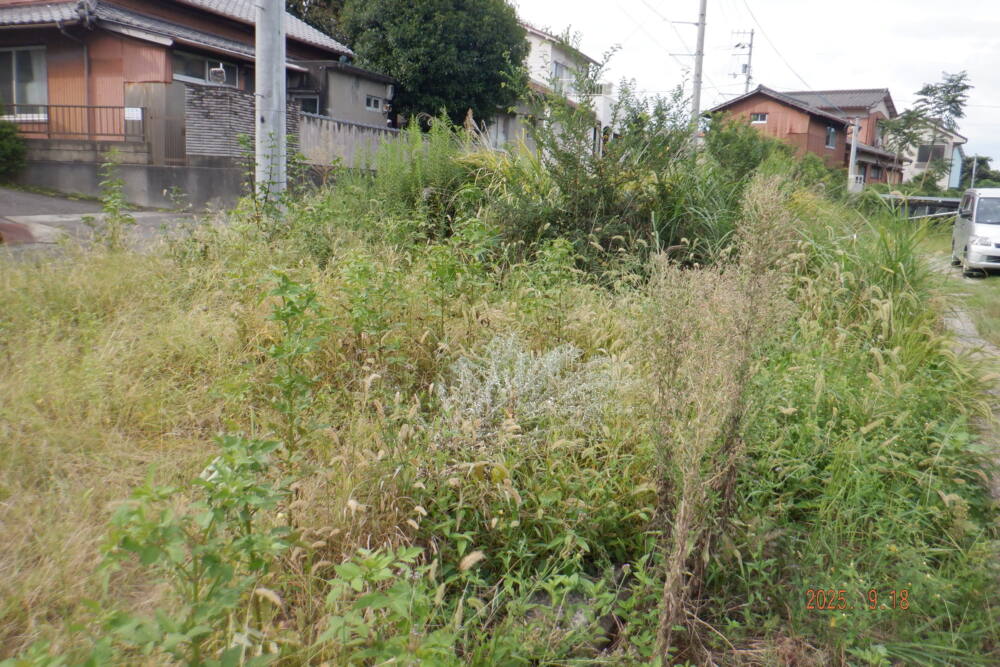 実績・評判口コミ画像01-香川県　49.5kW　低圧