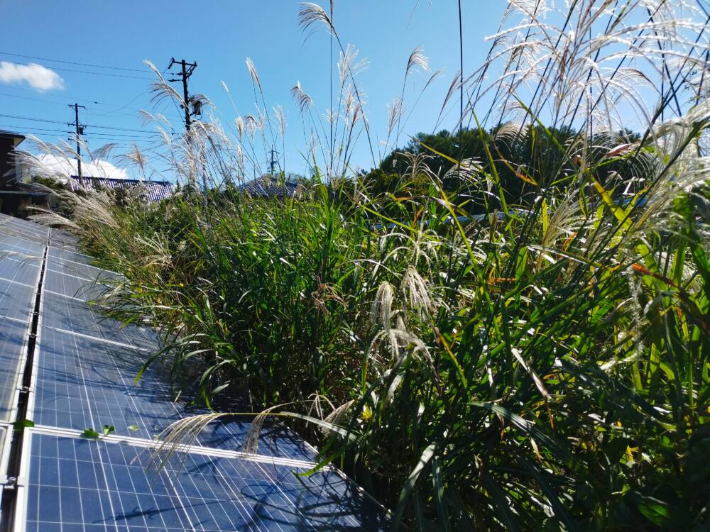 実績・評判口コミ画像01-長野県　49.5kW　低圧