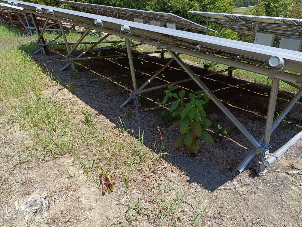 実績・評判口コミ画像01-岡山県　49.5kW　低圧