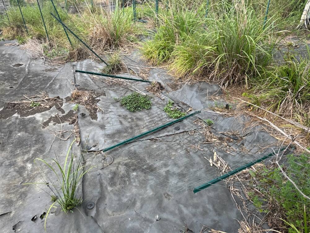 実績・評判口コミ画像02-兵庫県　47.2 kW　低圧