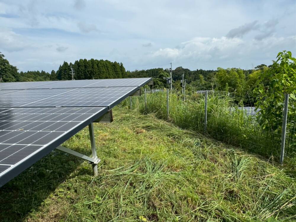 実績・評判口コミ画像02-鹿児島県　49.5kW　低圧