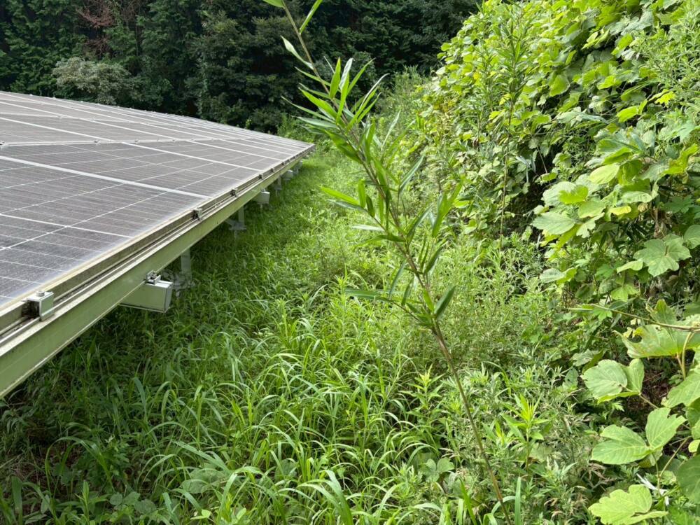 実績・評判口コミ画像02-千葉県　49.5kW　低圧