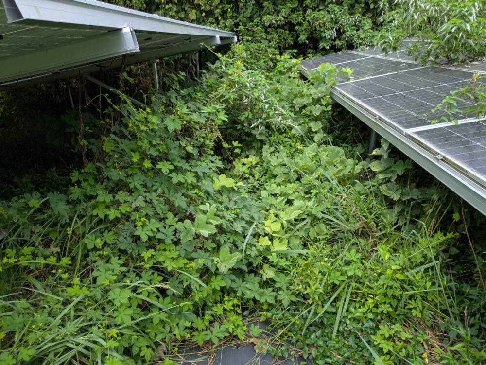 実績・評判口コミ画像02-佐賀県　49.5kW　低圧