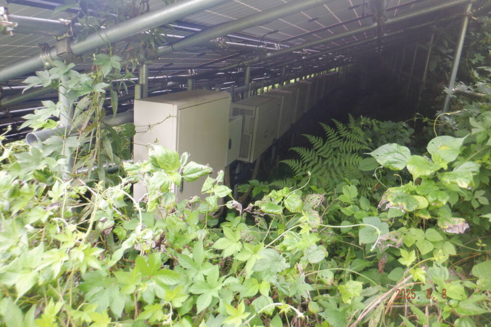 実績・評判口コミ画像02-奈良県　49.5kW　低圧