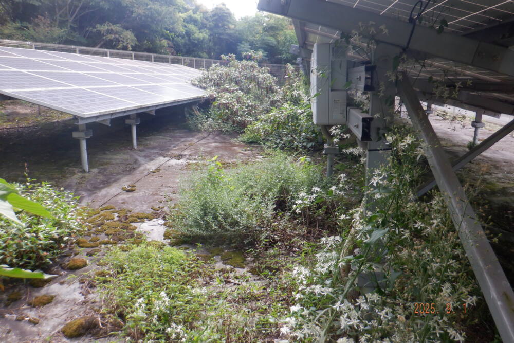 実績・評判口コミ画像02-兵庫県　49.5kW　低圧