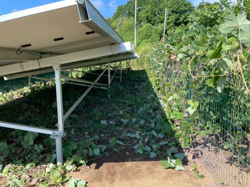 実績・評判口コミ画像02-茨城県　49.5kW　低圧