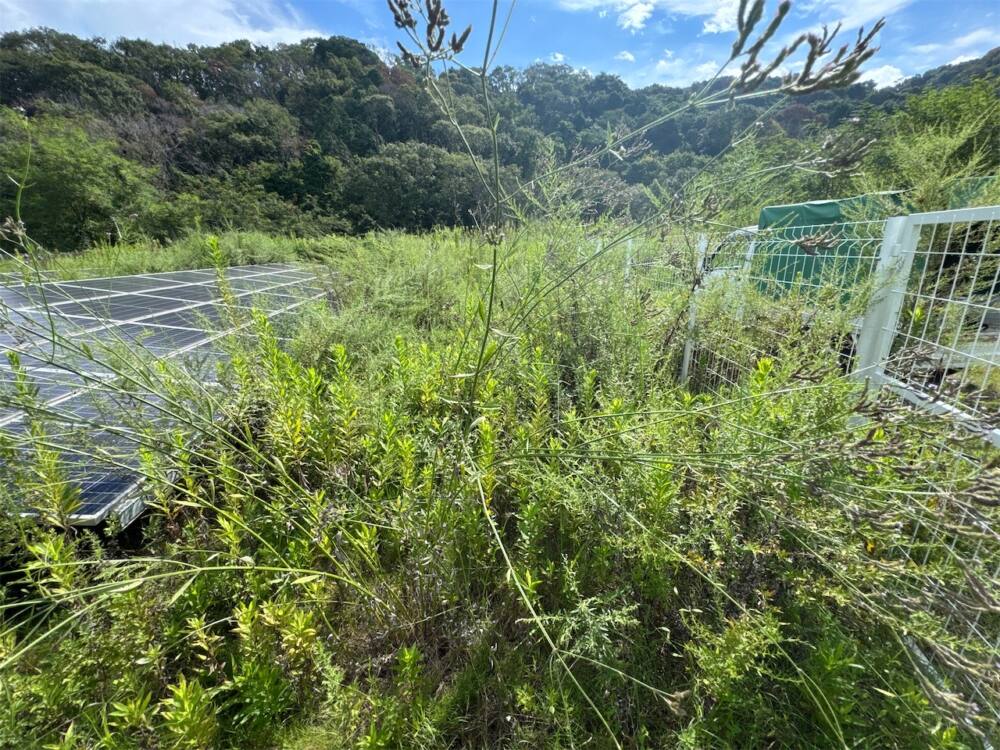 実績・評判口コミ画像02-兵庫県　500kW　高圧