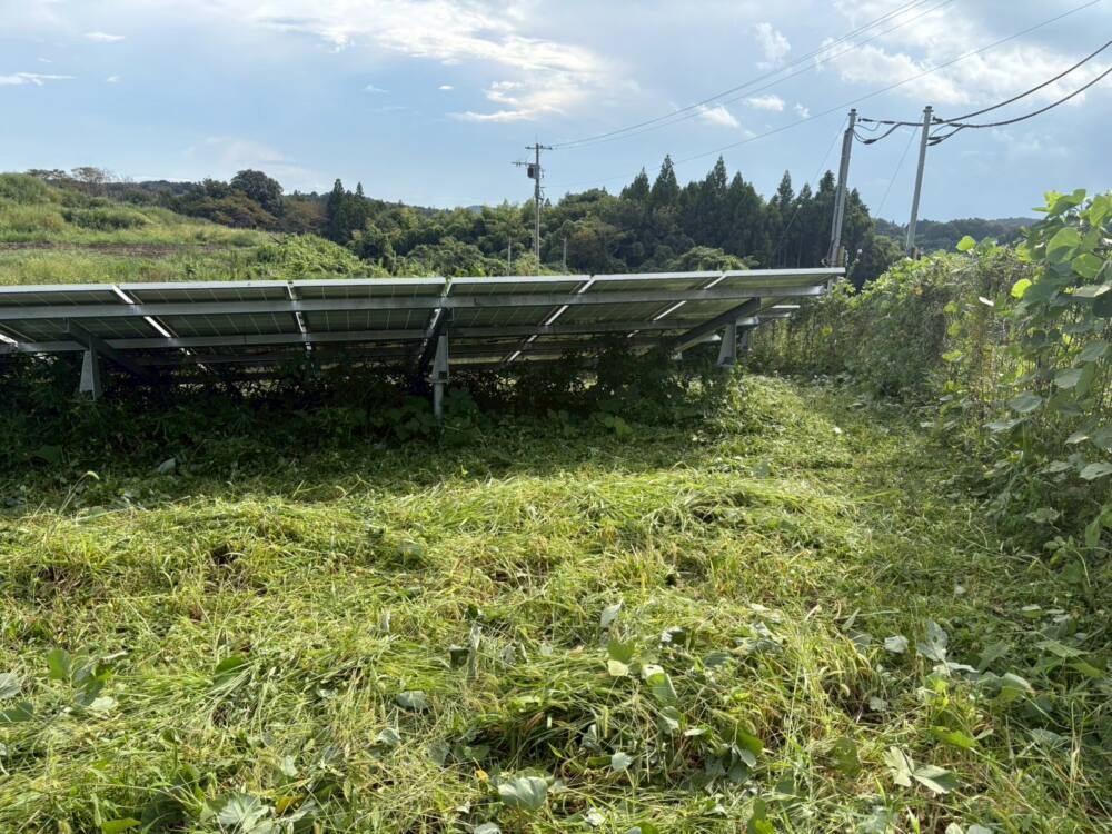 実績・評判口コミ画像02-栃木県　49.5kW　低圧