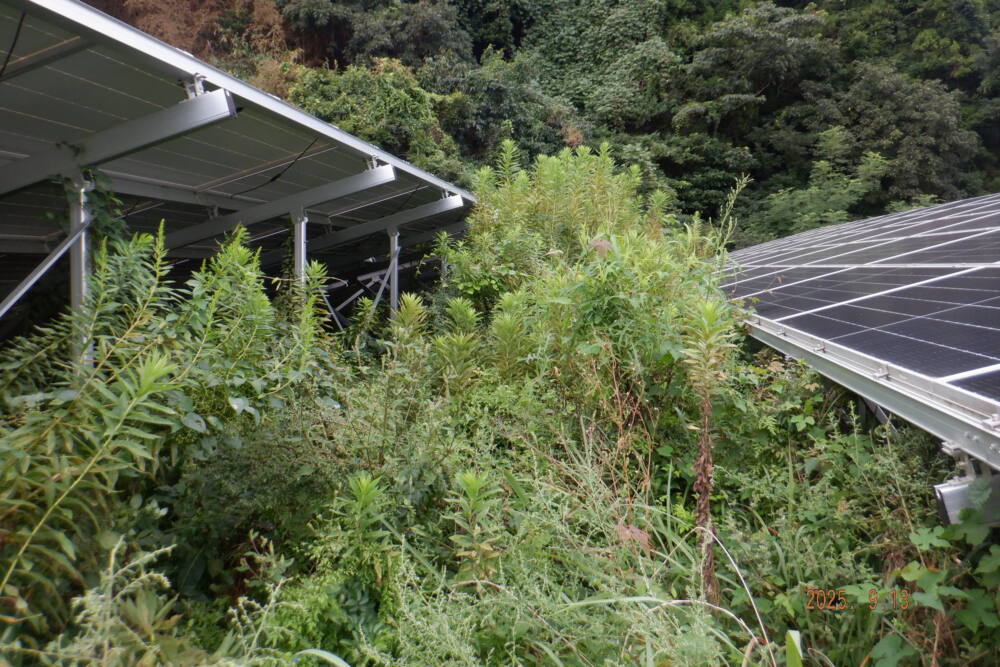 実績・評判口コミ画像02-島根県　49.5kW　低圧